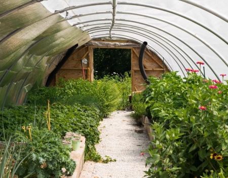 farm to table