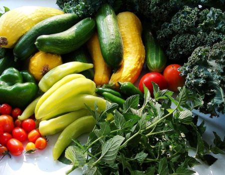 farm to table4