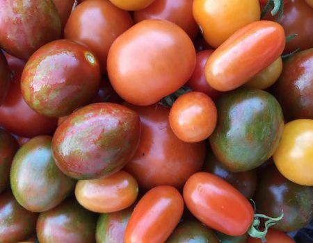 farm to table page